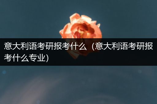 意大利语考研报考什么（意大利语考研报考什么专业）