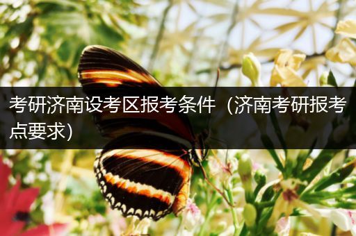 考研济南设考区报考条件（济南考研报考点要求）