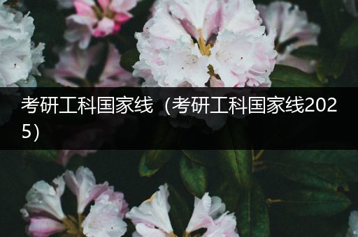考研工科国家线（考研工科国家线2025）