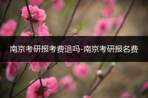 南京考研报考费退吗-南京考研报名费