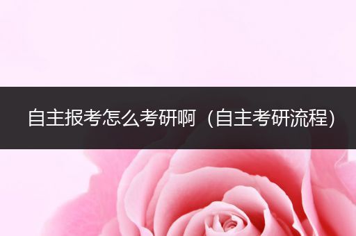 自主报考怎么考研啊（自主考研流程）