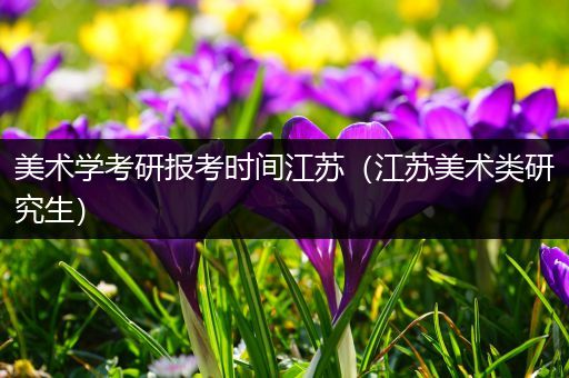 美术学考研报考时间江苏（江苏美术类研究生）