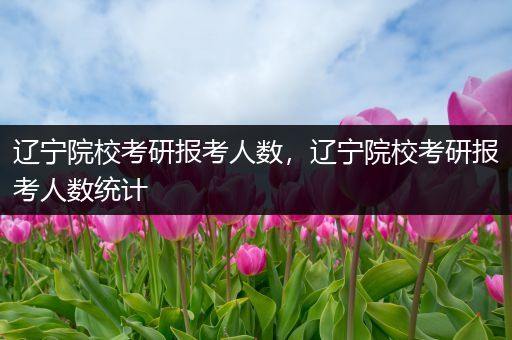 辽宁院校考研报考人数，辽宁院校考研报考人数统计