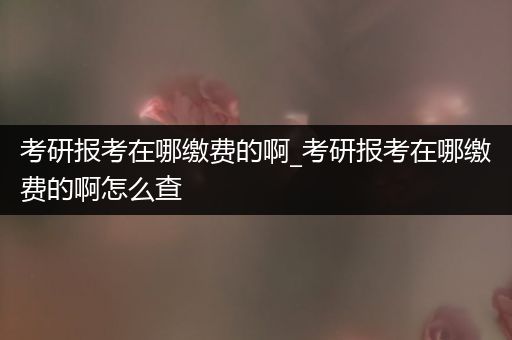 考研报考在哪缴费的啊_考研报考在哪缴费的啊怎么查