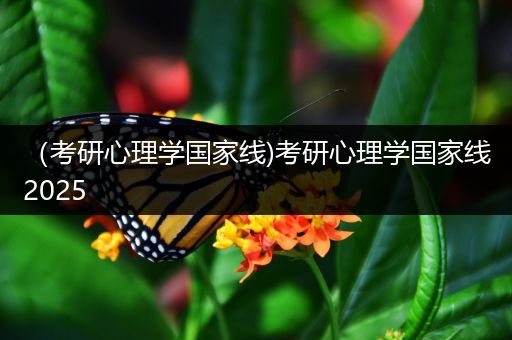 （考研心理学国家线)考研心理学国家线2025