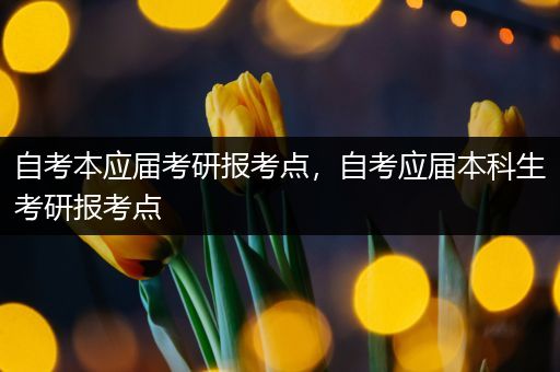 自考本应届考研报考点，自考应届本科生考研报考点