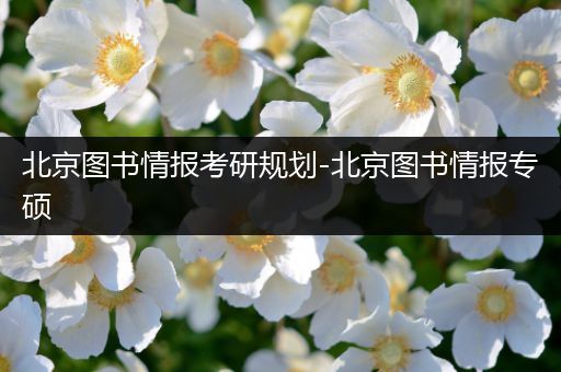 北京图书情报考研规划-北京图书情报专硕