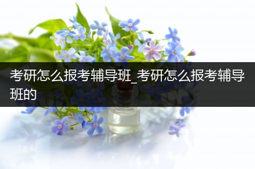 考研怎么报考辅导班_考研怎么报考辅导班的