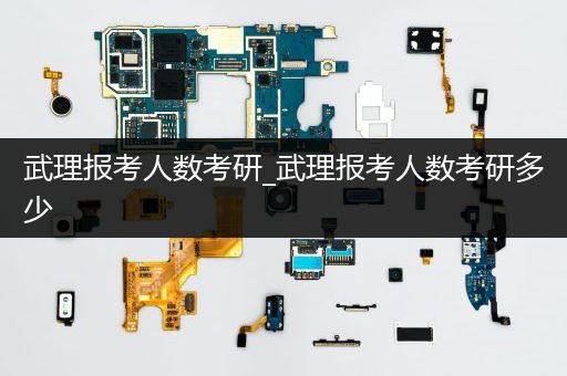 武理报考人数考研_武理报考人数考研多少