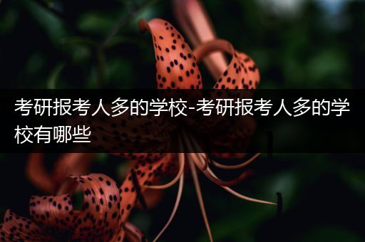考研报考人多的学校-考研报考人多的学校有哪些