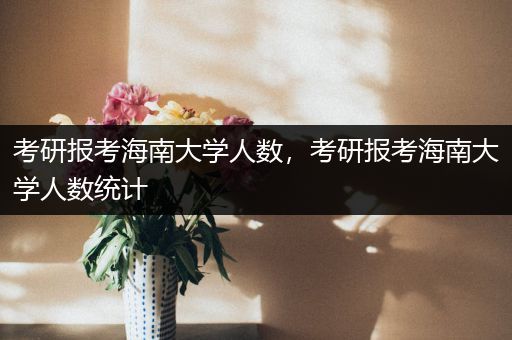 考研报考海南大学人数，考研报考海南大学人数统计